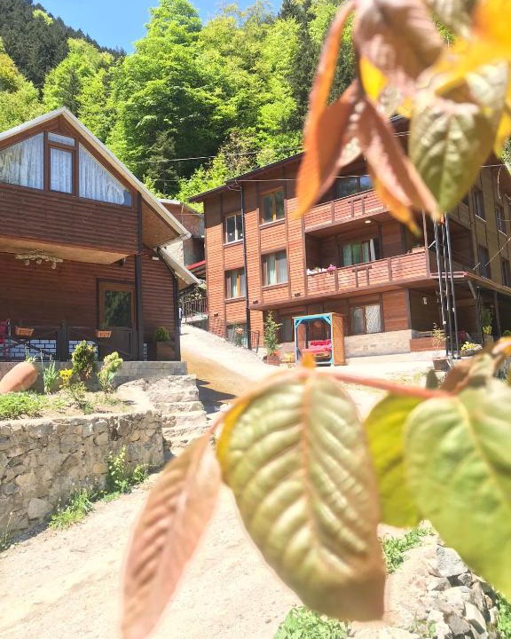 Caykara Apartment | ŞEN BUTİK OTEL ve BUNGALOV