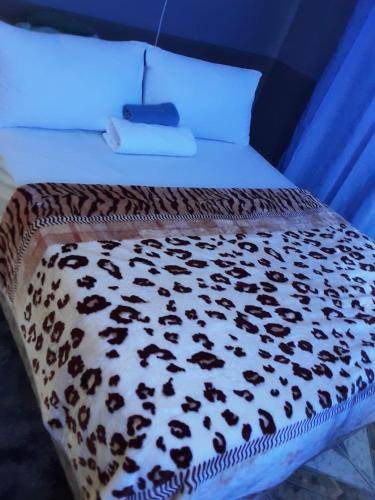 Pietermaritzburg Bed & Breakfast | 100 m² Bed and breakfast ∙ 2 guests