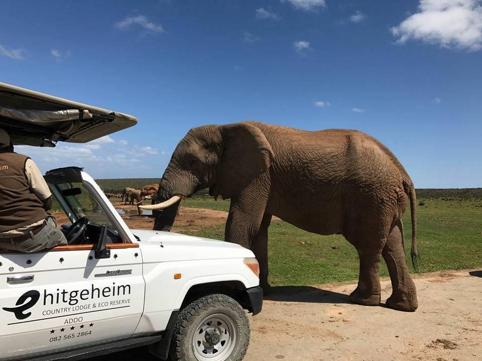 Addo Cabin | 100 m² Lodge ∙ 2 bedrooms ∙ 127 guests
