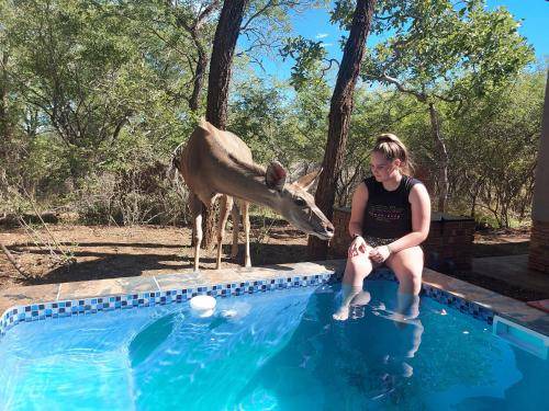Marloth Park House | 130 m² House ∙ 2 bedrooms ∙ 6 guests