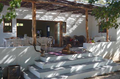 Papiesvlei House | 152 m² Farmhouse ∙ 2 bedrooms ∙ 4 guests