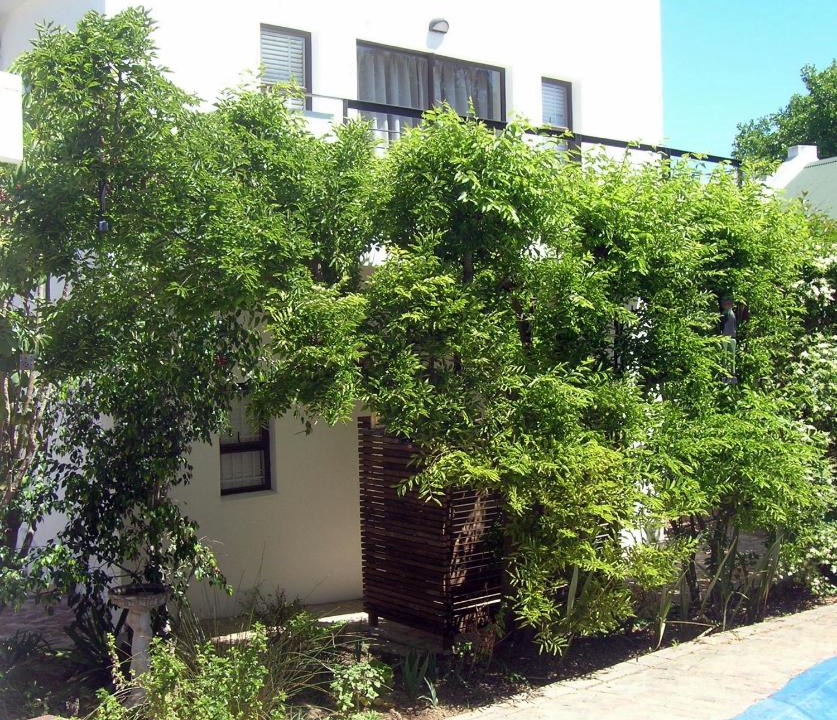 Die Boord Apartment | 16 Rhodes-North Self Catering Apartment & Studio