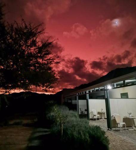 Route 62 Bed & Breakfast | 18 m² Bed and breakfast ∙ 2 guests