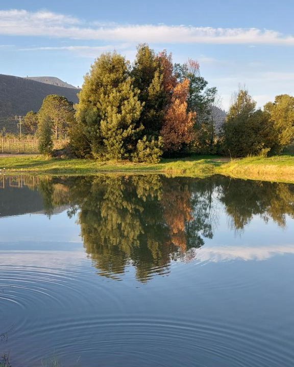 Bitou Apartment | 20 Good Summers Farm Stay