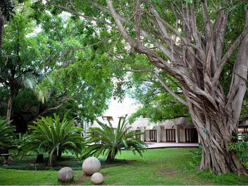 UPhongolo Bed & Breakfast | 20 m² Bed and breakfast ∙ 127 guests
