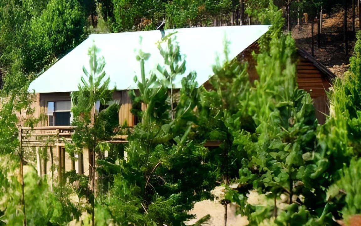 Haenertsburg Bed & Breakfast | 210 m² Bed and breakfast ∙ 4 bedrooms ∙ 10 guests