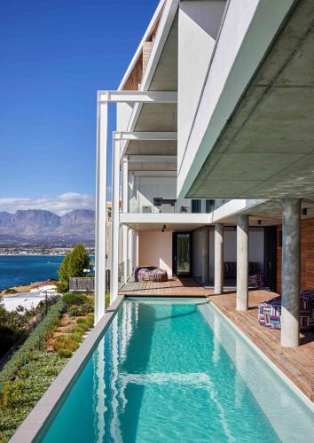 Protea | Mountainside