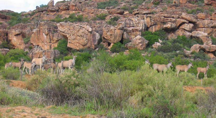 Cederberg Ski Chalet | 230 m² Chalet ∙ 3 bedrooms ∙ 14 guests