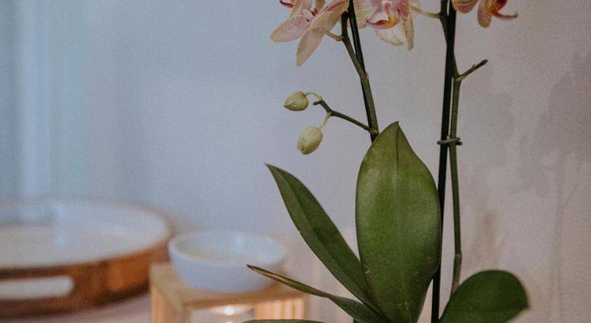 Berea Bed & Breakfast | 25 m² Bed and breakfast ∙ 4 guests