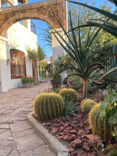 Beaufort West Bed & Breakfast | 35 m² Bed and breakfast ∙ 4 guests