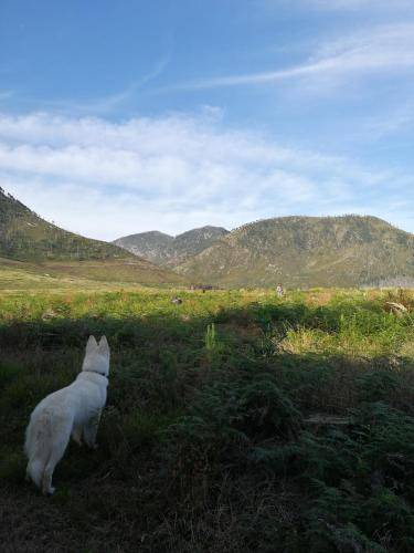 Storms River Bed & Breakfast | 40 m² Bed and breakfast ∙ 2 guests