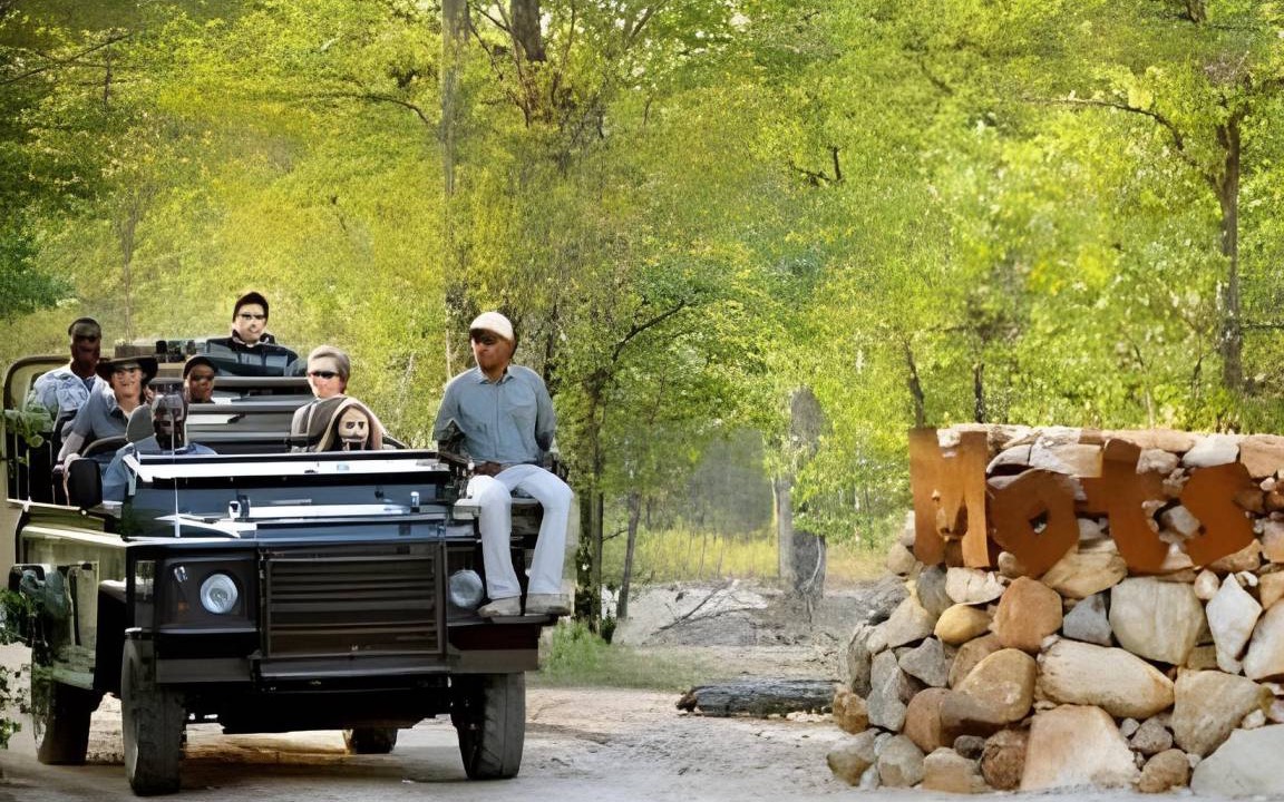 Kruger National Park Cabin | 40 m² Lodge ∙ 127 guests