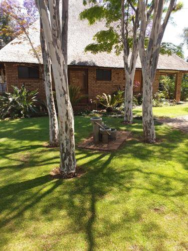 Polokwane Bed & Breakfast | 60 m² Bed and breakfast ∙ 3 guests