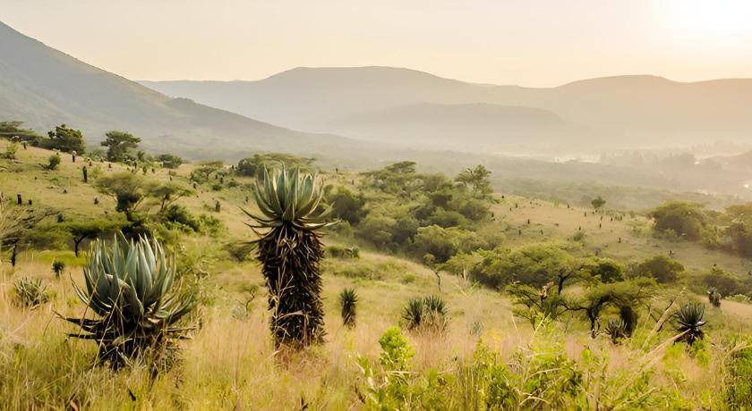 Waterval Boven Resort | 60 m² Resort ∙ 2 bedrooms ∙ 6 guests