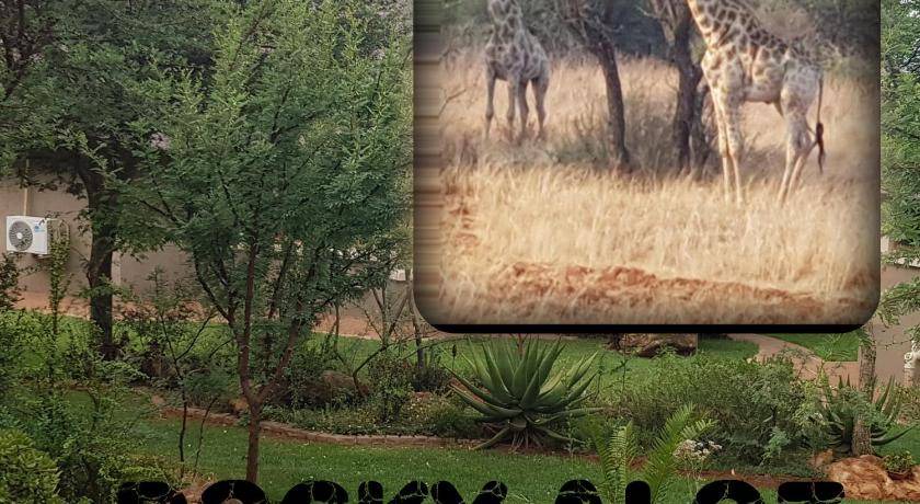 Krugersdorp Cabin | 85 m² Lodge ∙ 2 bedrooms ∙ 4 guests