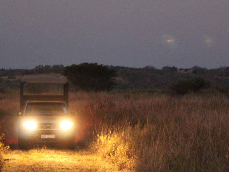 Hluhluwe Bed & Breakfast | 850 m² Bed and breakfast ∙ 14 bedrooms ∙ 127 guests