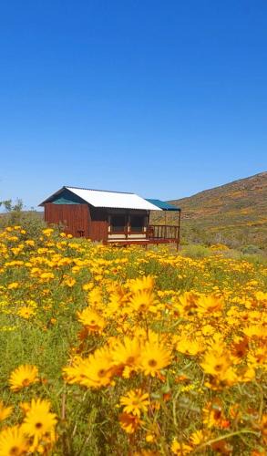 Kamiesberg Other | Agama Tented Camp