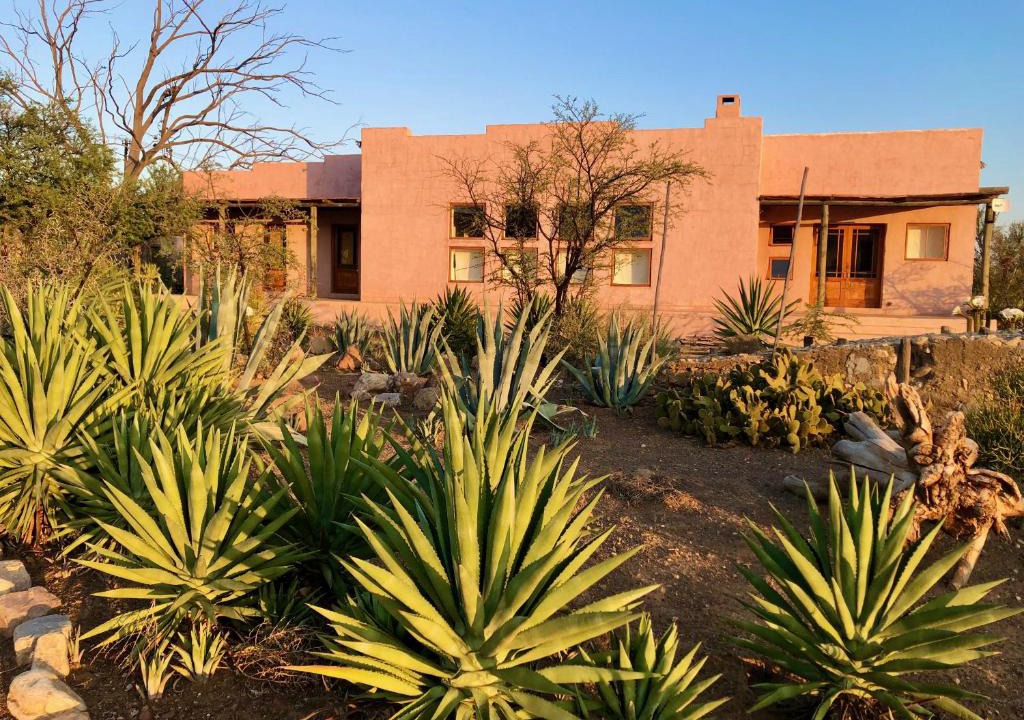 Prince Albert House | AGAVE HOUSE