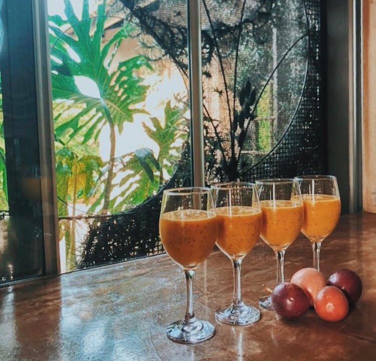 Ballito House | Al Marrakesh Guest House