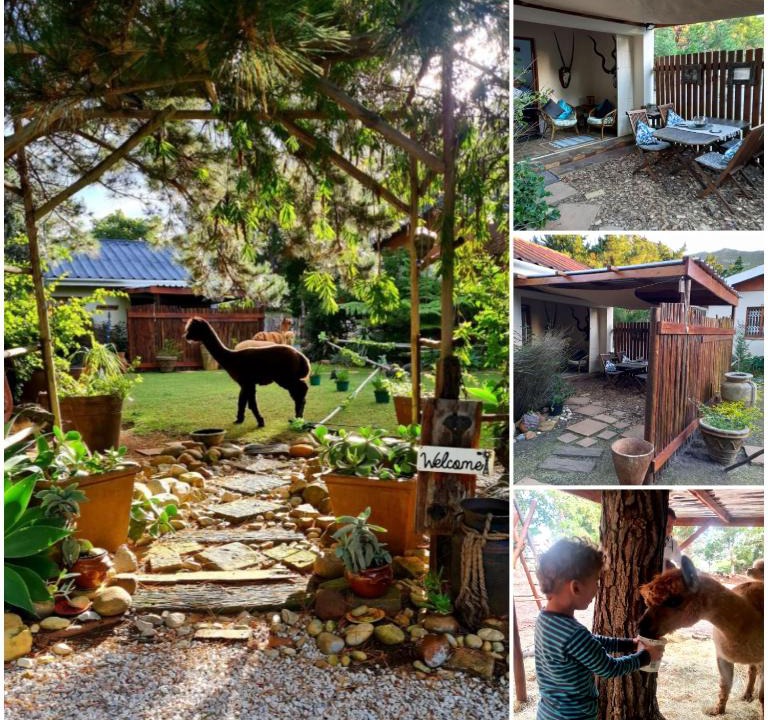 Kleinmond Apartment | Alpaca Self Catering Cottage Kleinmond