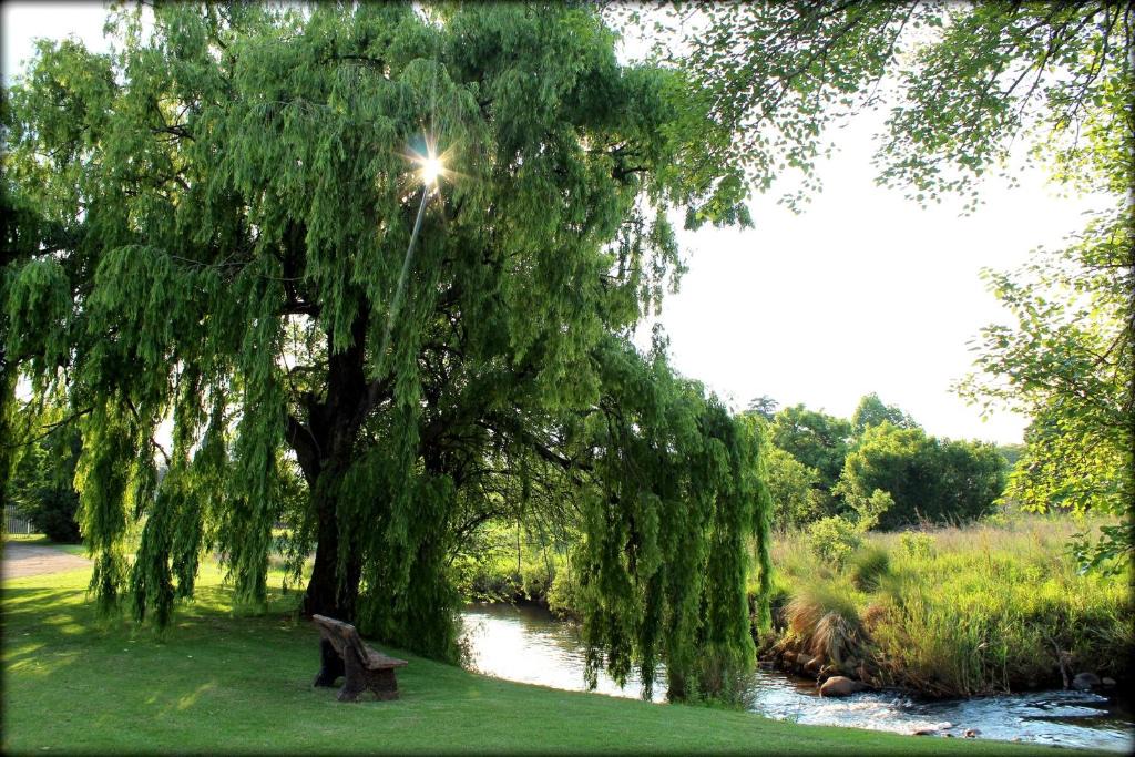 Lydenburg House | Aqua Terra Guest House