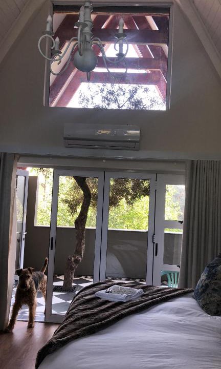 Waverley House | Bella Blue Guesthouse