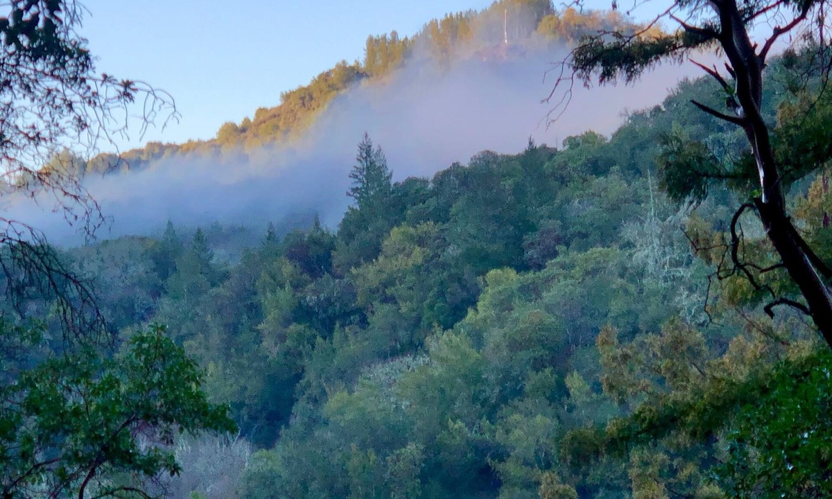 Napa Apartment | Breathtaking Napa Valley 30-day rental!
