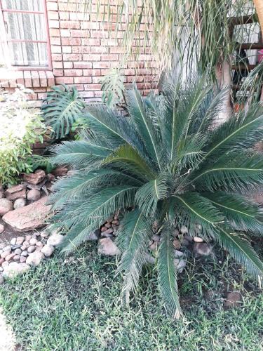 Greater Tubatse House | Burgersfort Gastehuis