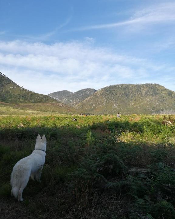 Storms River House | Bushman's Pillow