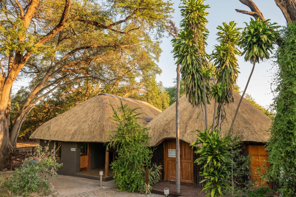 Bushriver Lodge | Maruleng