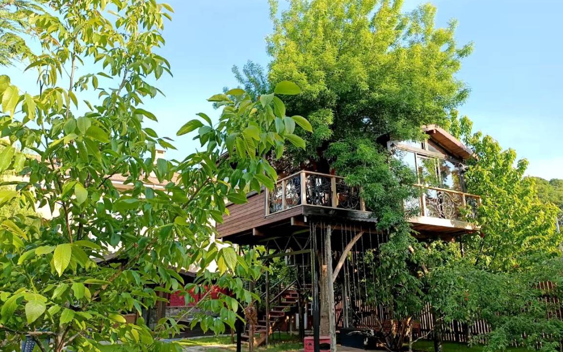 Agva Other | Camping ∙ 1 bedroom ∙ 3 guests