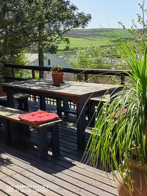 Bot River House | Canola Fields