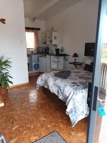 Colchester Apartment | Chameleon Lodge