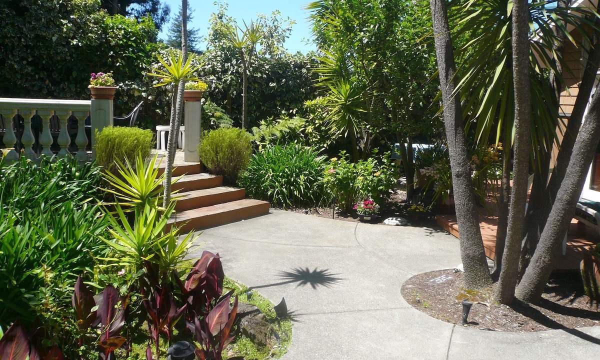 Strawberry Cottage | Charming, peaceful 1 Bedroom Mill Valley Cottage