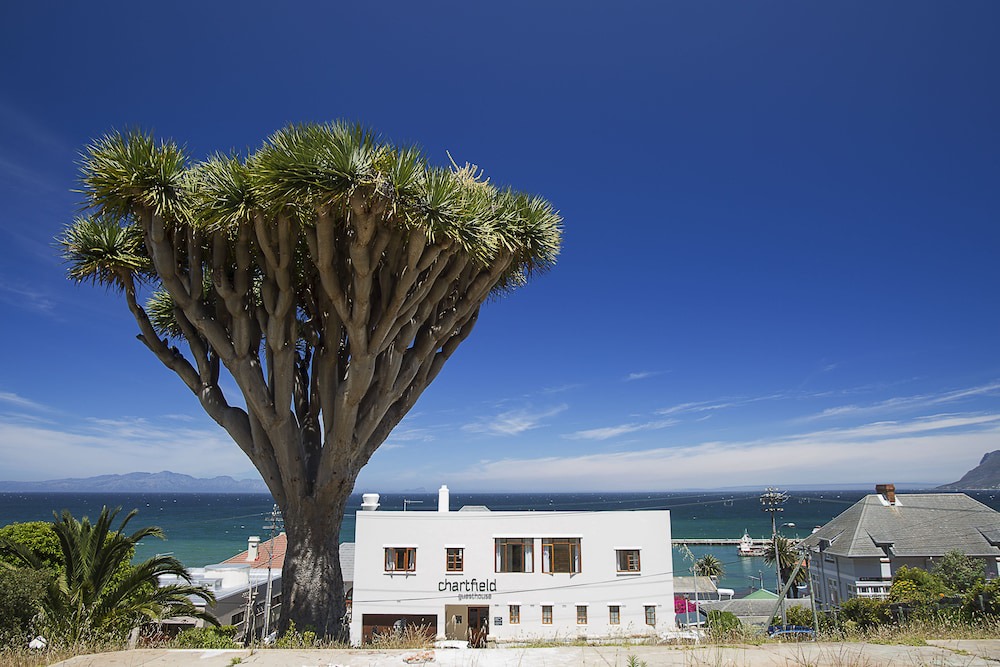Kalk Bay House | Chartfield Guesthouse