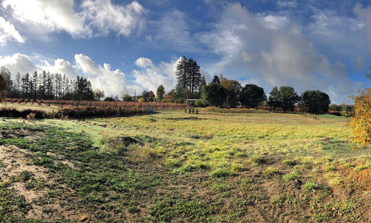 Graton House | Country property close to boutique wineries. A romantic getaway