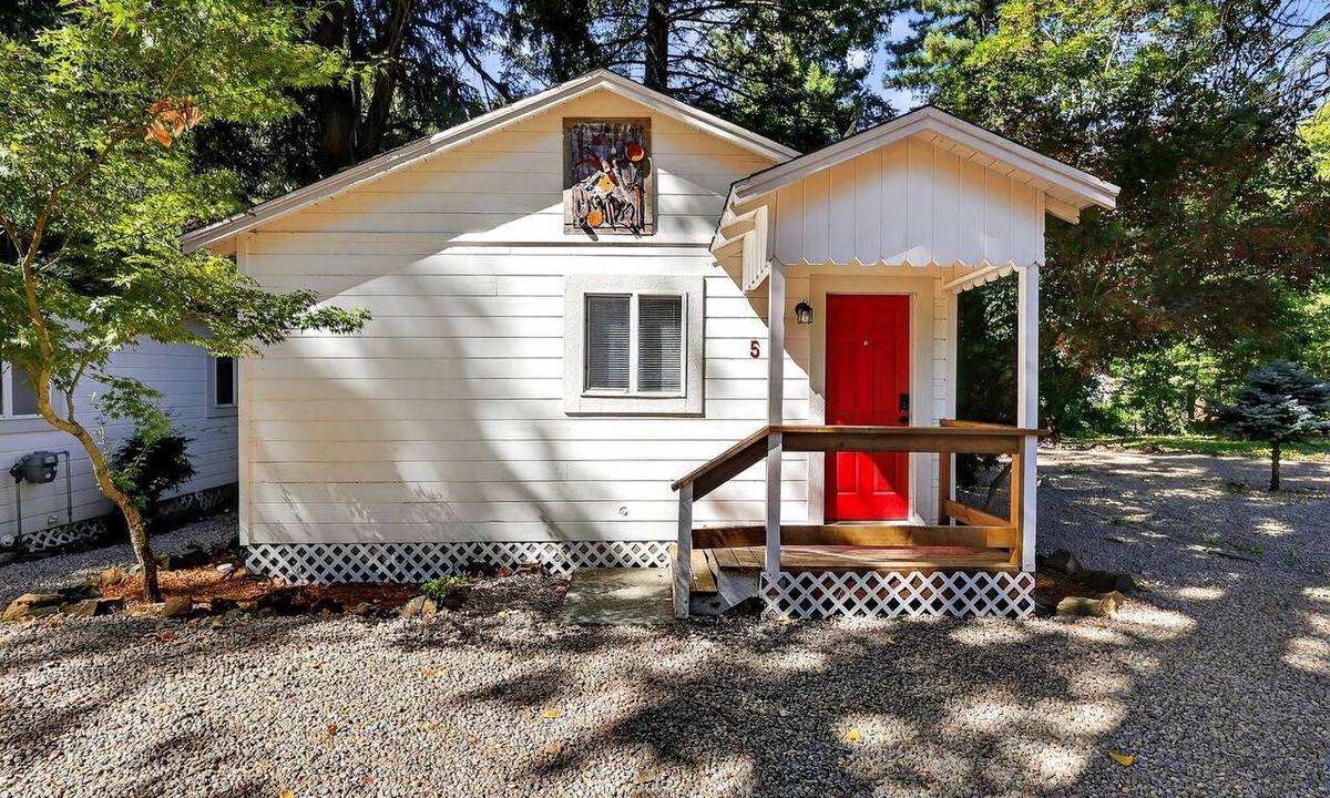 Cobb Cabin | Cozy Dog Friendly Cabin in Cobb California Near Harbin Hot Springs