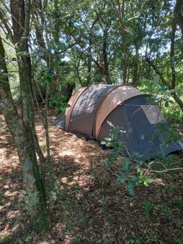 Dargle Other | Dargle campsite