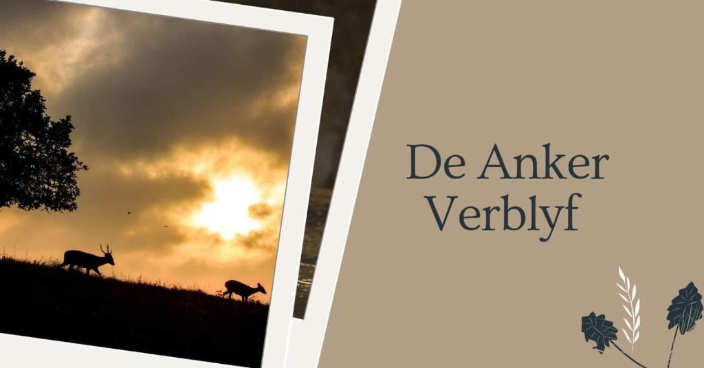 Olifantshoek House | De Anker Verblyf