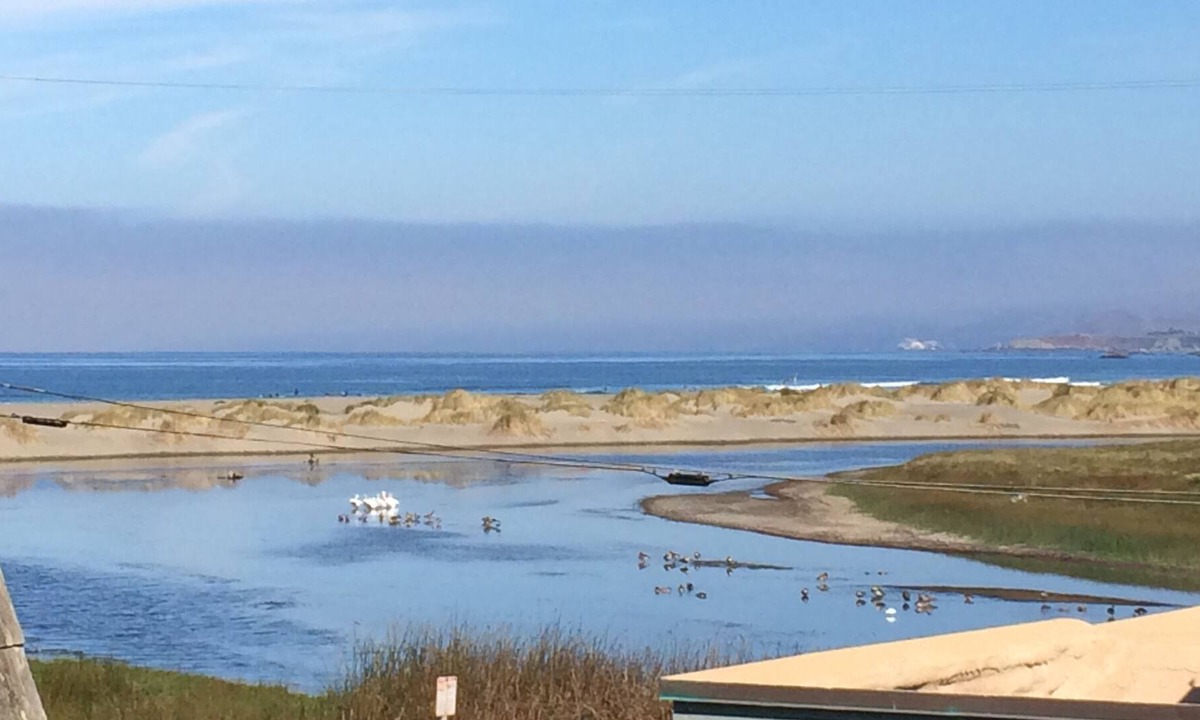 Salmon Creek Cottage | Delightful Home in Salmon Creek Near the Beach w/Private Washer/Dryer, Free WiFi