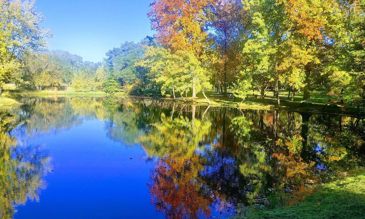 Greater Sacramento House | Discover Lake Farmhouse next to 100 acres