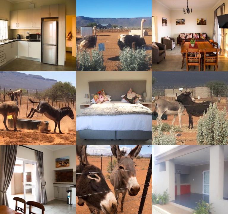 Calvinia House | Donkieshoek Accommodation & Campsite, Calvinia