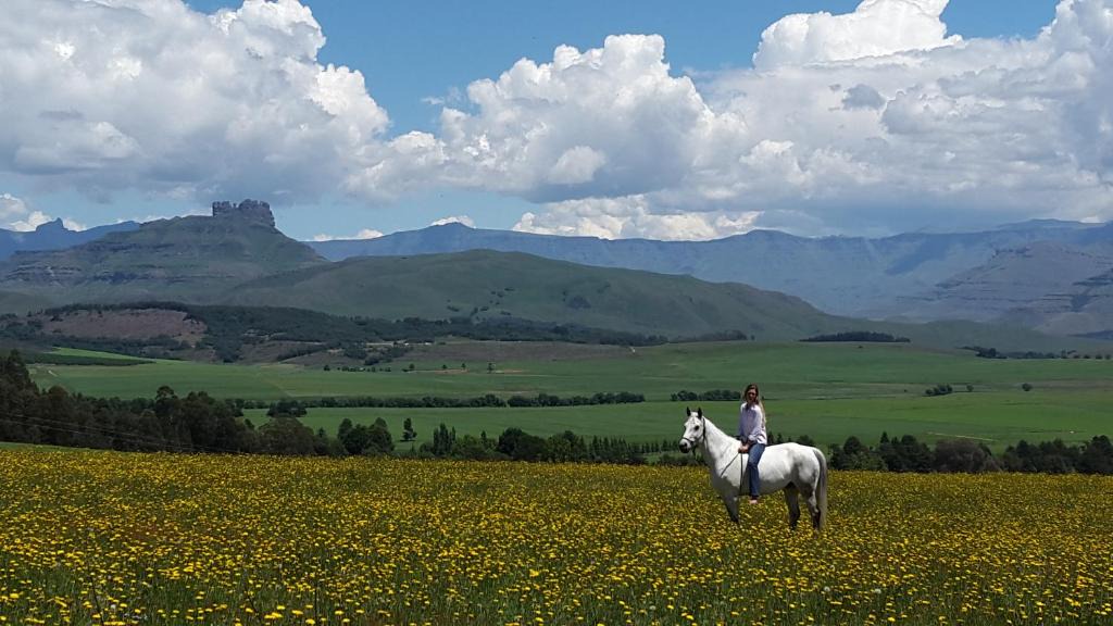 Kwa Sani House | Dragons Landing Guest Farm