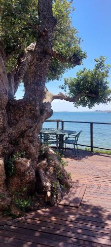 Gordons Bay Central Villa | Driftwood Beach Villa