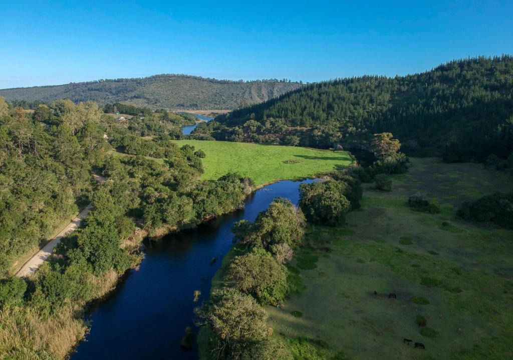 Sedgefield Apartment | Eastbrook River Self Catering Cottages
