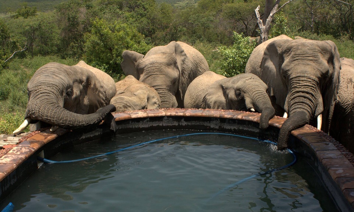 Rooiberg Cabin | Exclusive & amazing African experience at Private Game Reserve