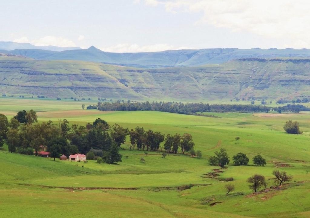 Elundini House | Fairbairn Guest Farm