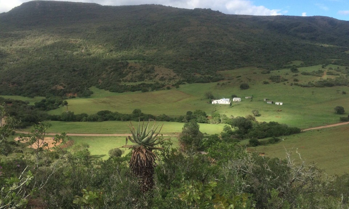 Farm Stays Relax Enjoy The Beauty Of Nature | Addo