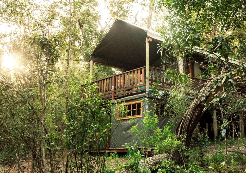Knysna Other | Fernhill Tented Treehouses