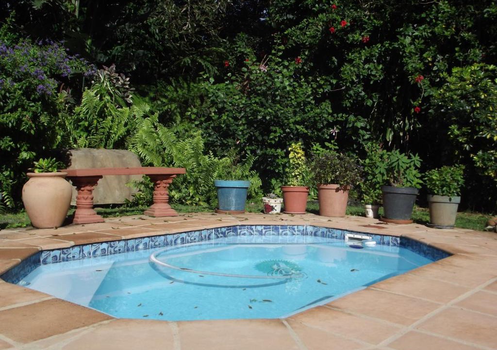 Blythedale Bed & Breakfast | Fig Tree Manor Self Catering